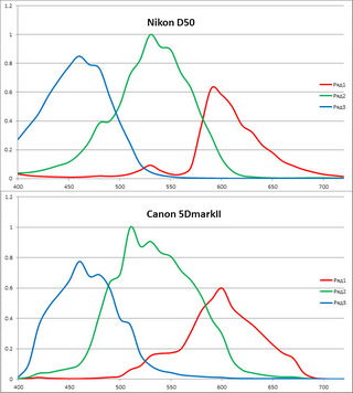 Nikon D50 и Canon 5D II CMF