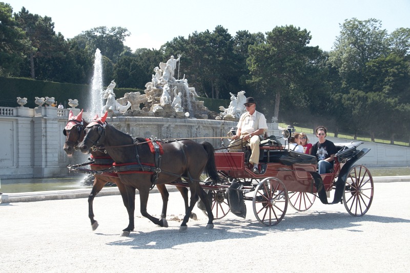 2009_08_16_Wien_Schonbrunn_099.jpg