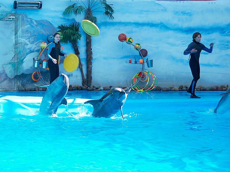2015 08 09 Minsk ZOO 0856s