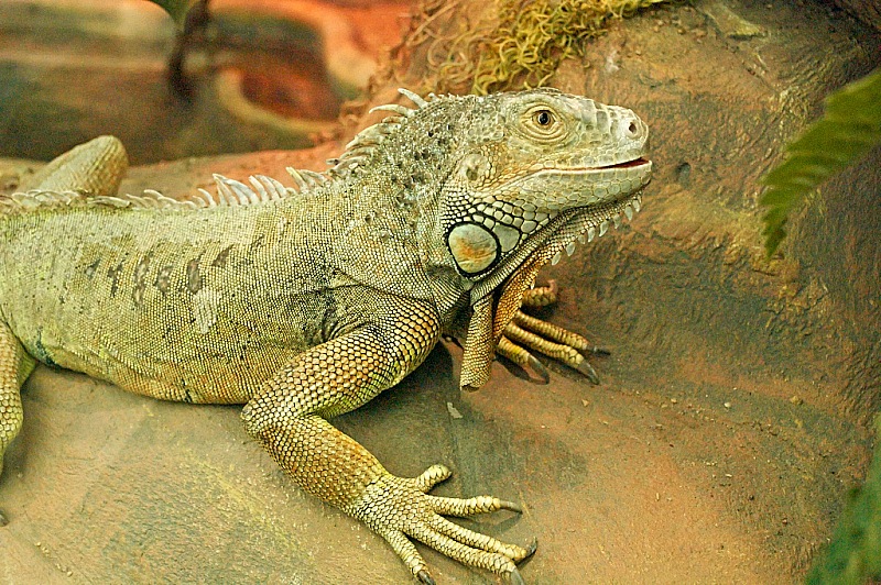 2015 08 09 Minsk ZOO 1366