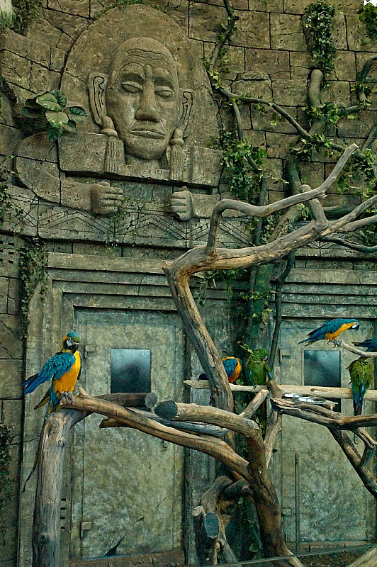 2015 08 09 Minsk ZOO 1397