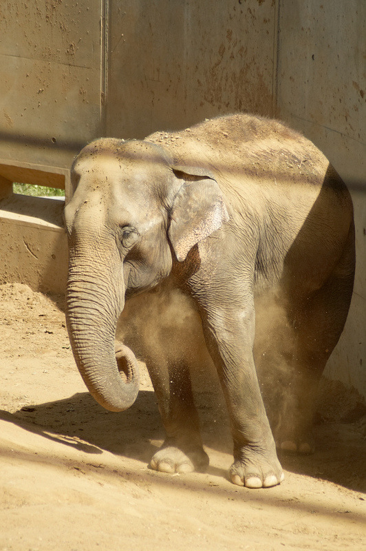 2012 08 12 Praha ZOO 0197