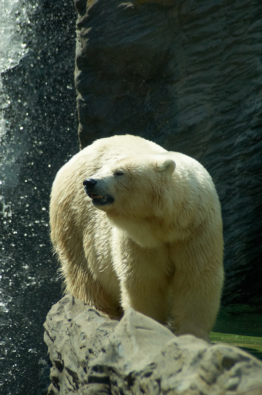 2012 08 12 Praha ZOO 0396