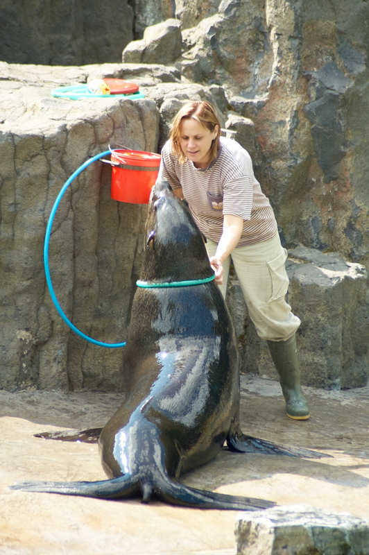 2012 08 12 Praha ZOO 0711