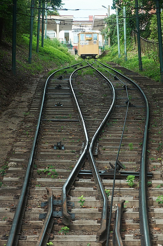 2019 08 13 Kaunas 233