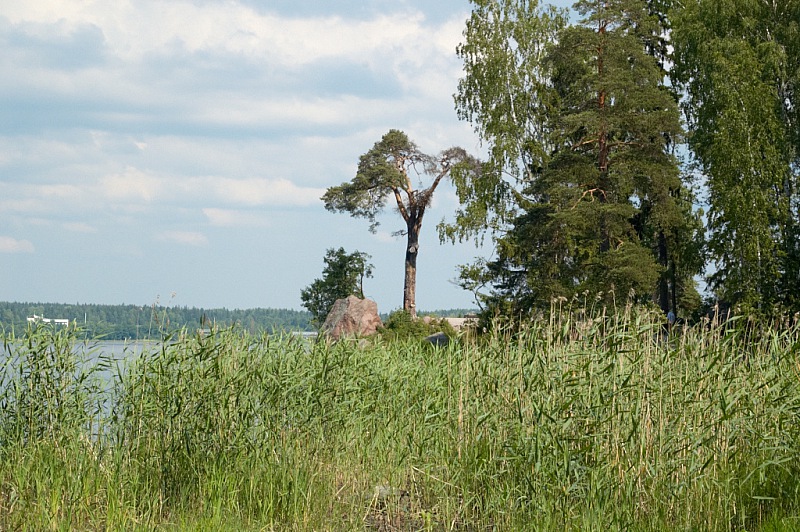 2013 06 25 Vyborg Monrepos 658