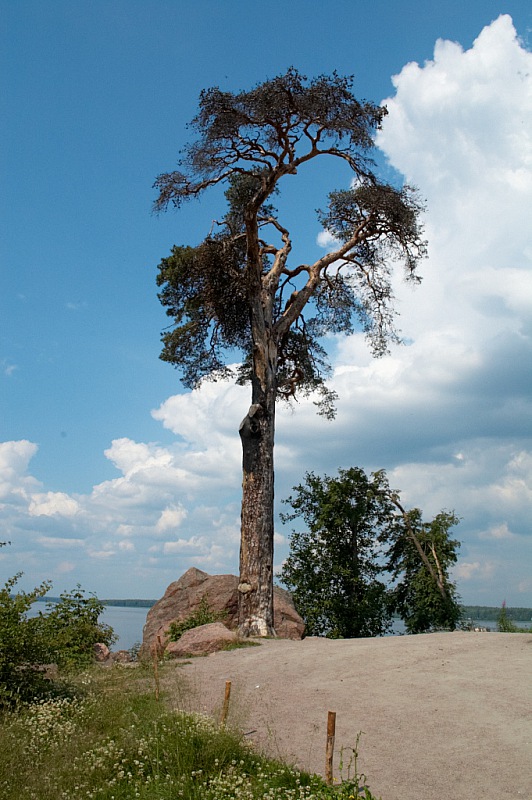 2013 06 25 Vyborg Monrepos 677