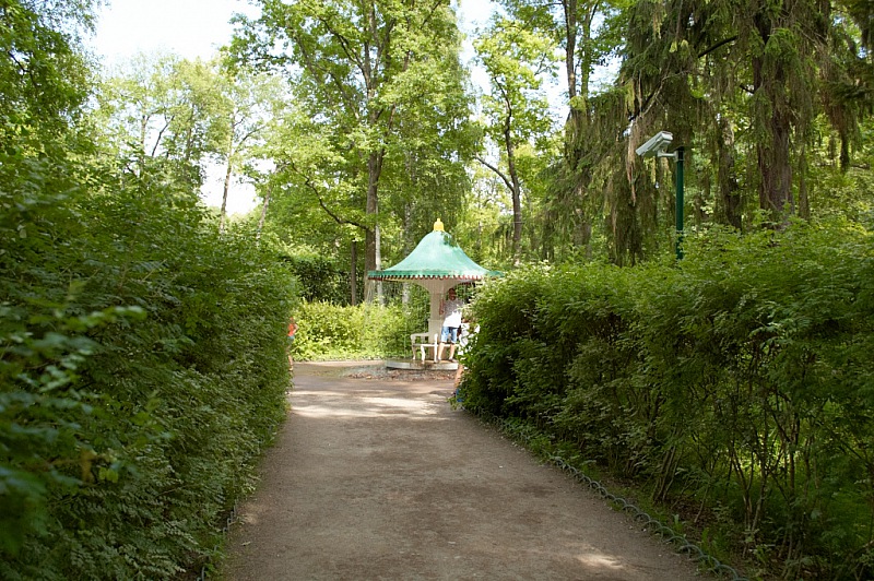 2013 06 24 Peterhof 357