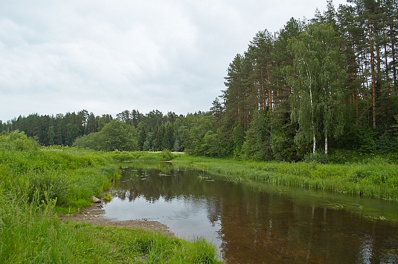 2014 06 15 Falukovo 003