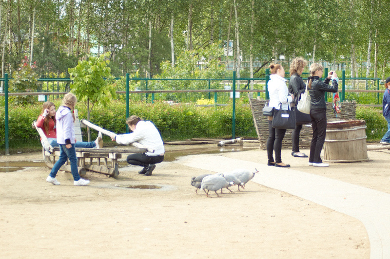 2012 06 04 Yaroslavl ZOO 082