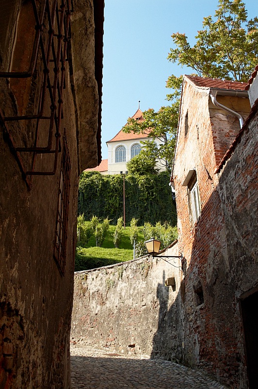 2014 08 03 Ptuj 245