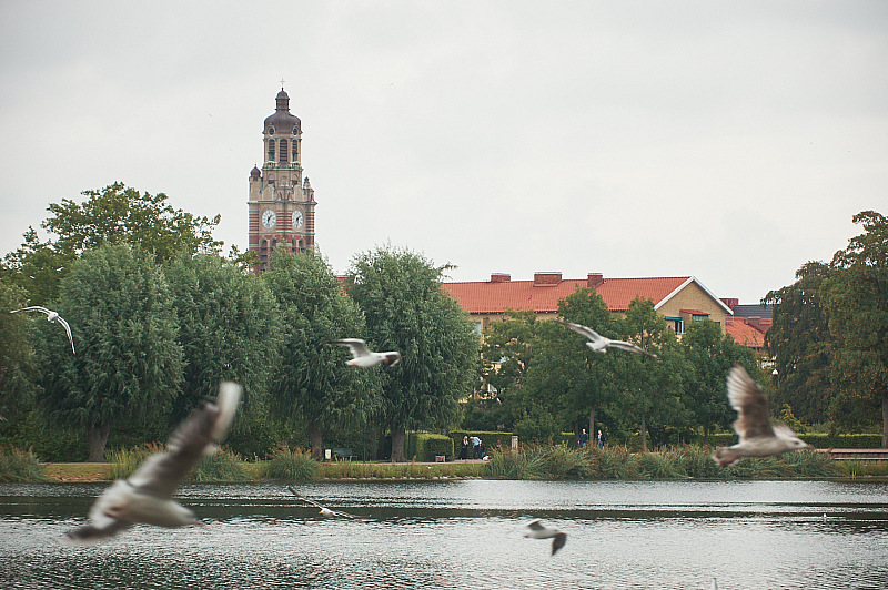 2019 08 18 TornaHallestad Malmo 034