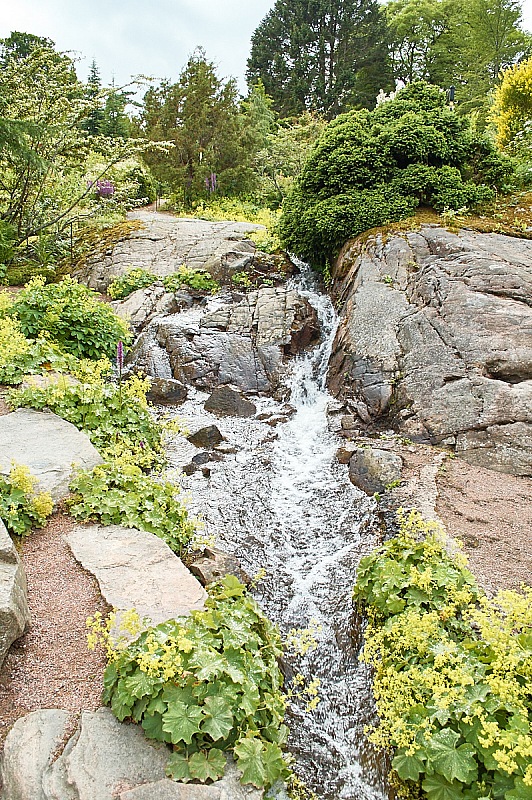 2017 07 08 Goteborgs botaniska tradgard 468