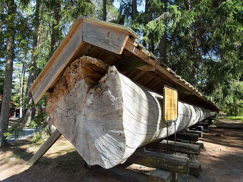 2017 07 07 KolmordenZOO 835m