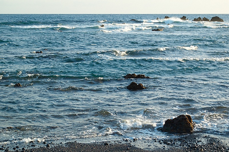 2015 01 09 Las Galletas 273