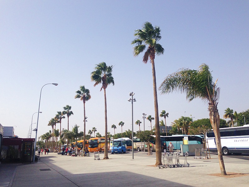 2015 01 Tenerife iPhone 367