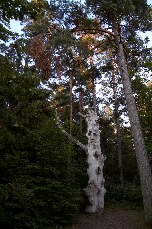 2007 08 05 Palanga 032