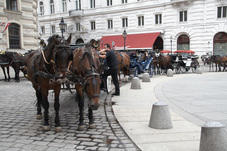 2009_08_12_Wien_263.jpg