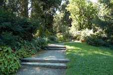 2012 08 07 Linz Botanischer Garten 175