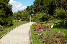 2012 08 07 Linz Botanischer Garten 254