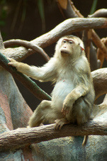 2012 08 12 Praha ZOO 0585