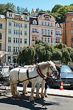 2018 07 07 KarlovyVary 123