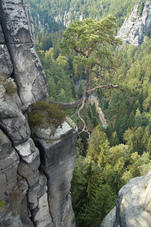 2011 07 26 Raten Bastei 317