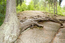 2013 06 25 Vyborg Monrepos 498