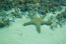 2012 03 09 Oceanarium 163
