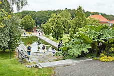 2017 07 08 Goteborgs botaniska tradgard 048