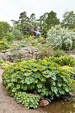 2017 07 08 Goteborgs botaniska tradgard 714