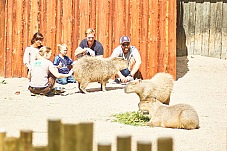 2017 07 07 KolmordenZOO 300