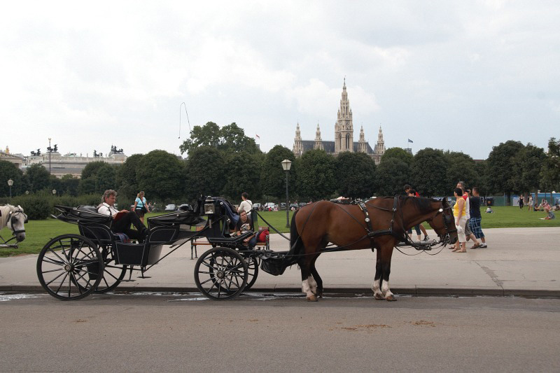 2009_08_12_Wien_316.jpg