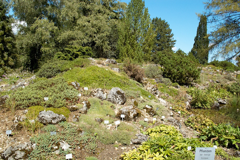 2012 08 07 Linz Botanischer Garten 077