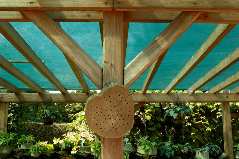 2012 08 07 Linz Botanischer Garten 360