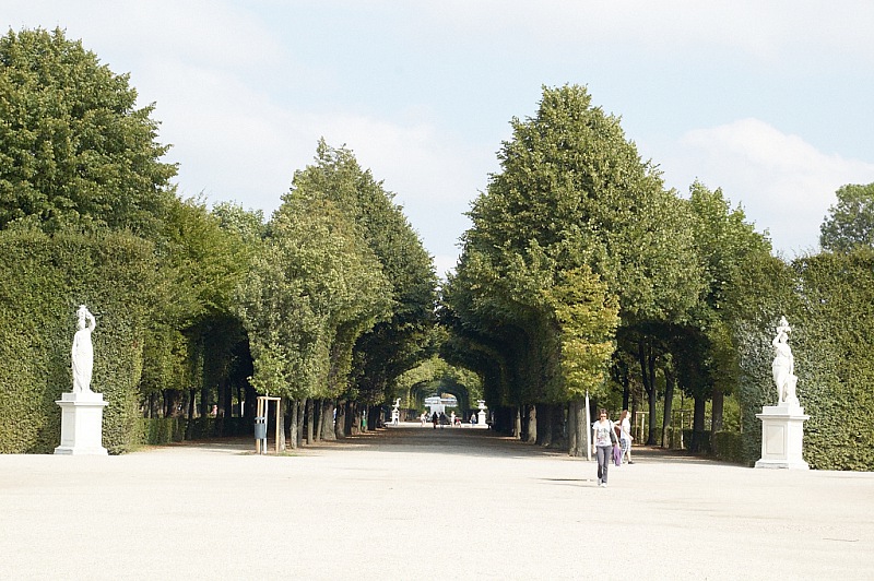 2014 08 01 Wien Tiergarten1107