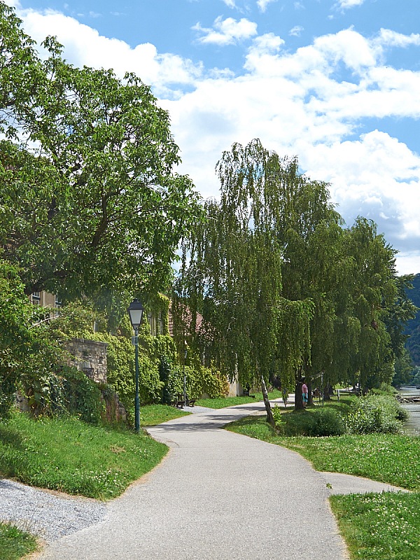 2016 07 04 Durnstein 055s
