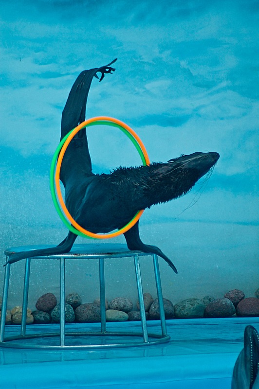 2015 08 09 Minsk ZOO 0456