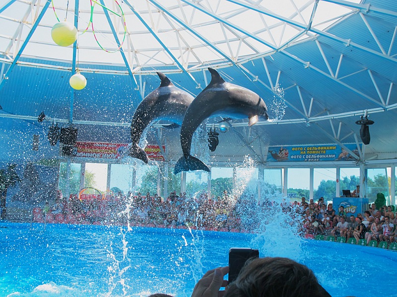 2015 08 09 Minsk ZOO 0951m