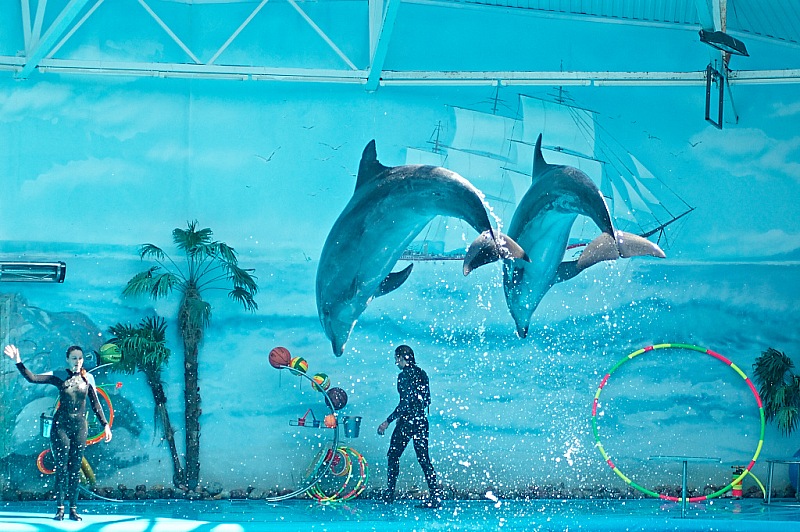2015 08 09 Minsk ZOO 0960