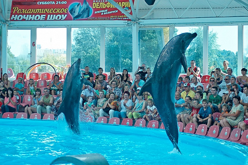 2015 08 09 Minsk ZOO 0967