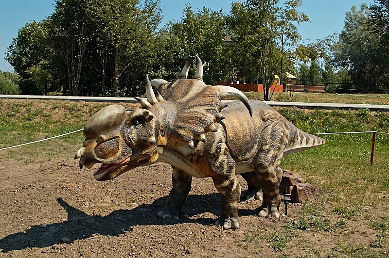 2015 08 09 Minsk ZOO 1113