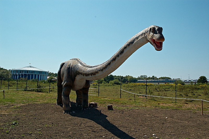 2015 08 09 Minsk ZOO 1159