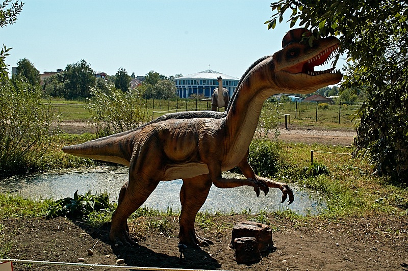 2015 08 09 Minsk ZOO 1167