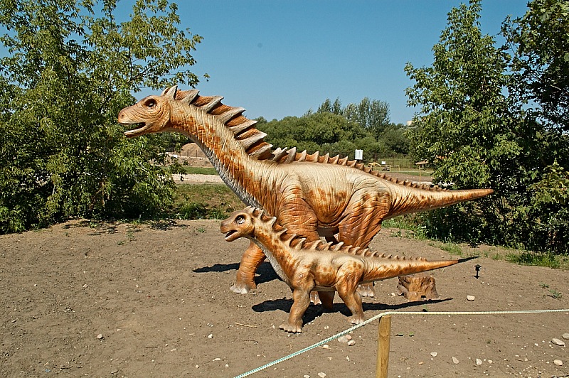 2015 08 09 Minsk ZOO 1192