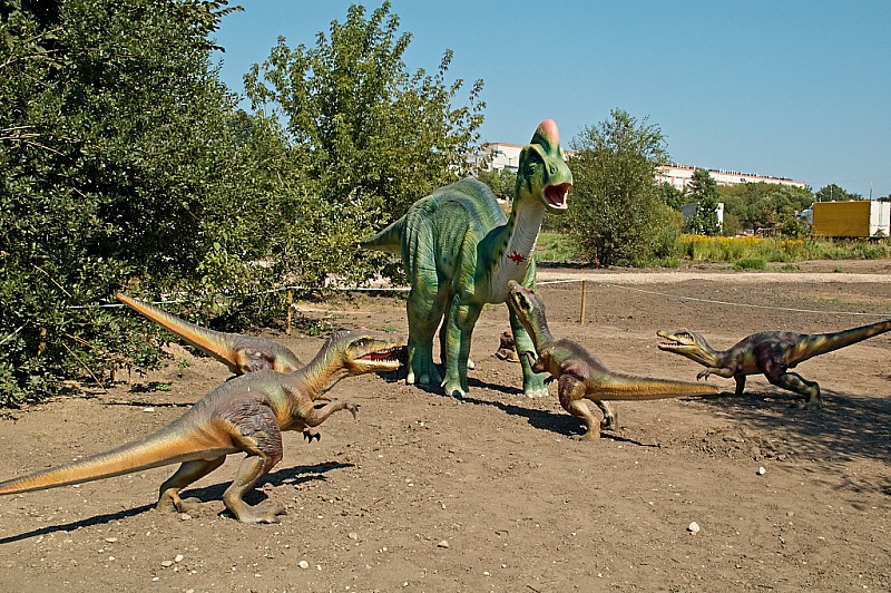 2015 08 09 Minsk ZOO 1199