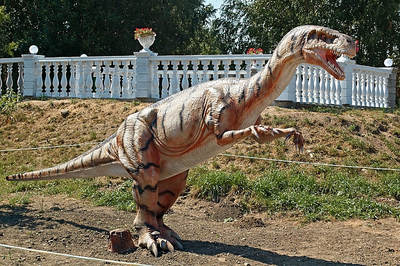 2015 08 09 Minsk ZOO 1200