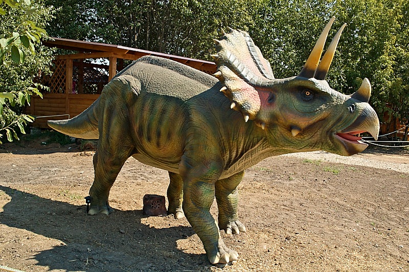 2015 08 09 Minsk ZOO 1213