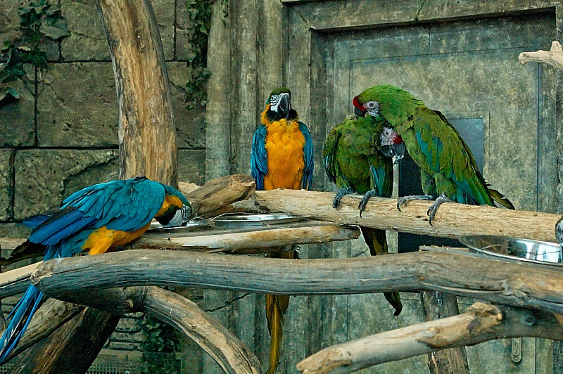 2015 08 09 Minsk ZOO 1267
