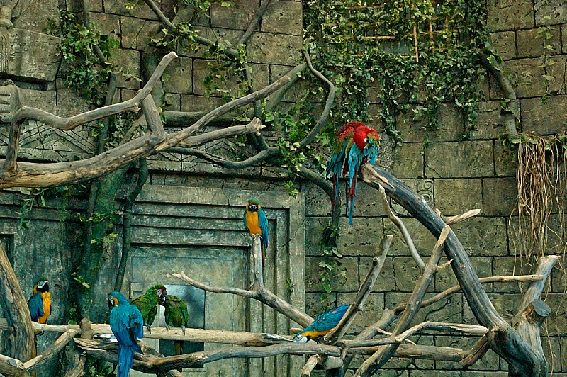 2015 08 09 Minsk ZOO 1273